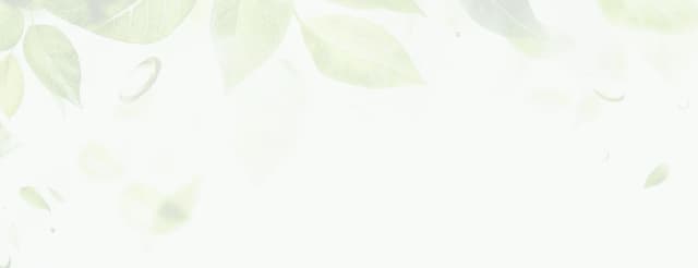 Leaf Background